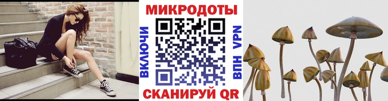 Псилоцибиновые грибы Magic Shrooms  OMG как зайти  Лаишево 